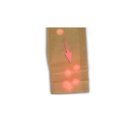 Luces En La Bolsa