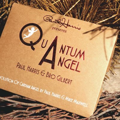 Quantum Angel por Paul Harris
