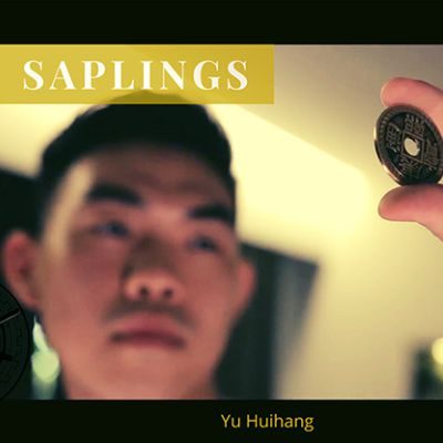 The Vault - Skymember Presents Saplings por Yu Huihang DESCARGA