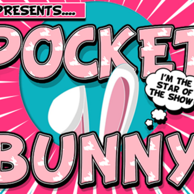 Pocket Bunny por Lee Alex