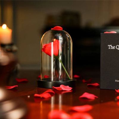 The Quantum Dome por Mai Bro & TCC Magic